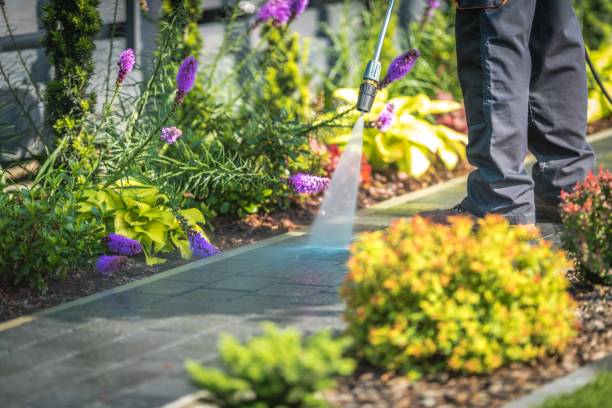 Animal Enclosure Cleaning in Venice, IL